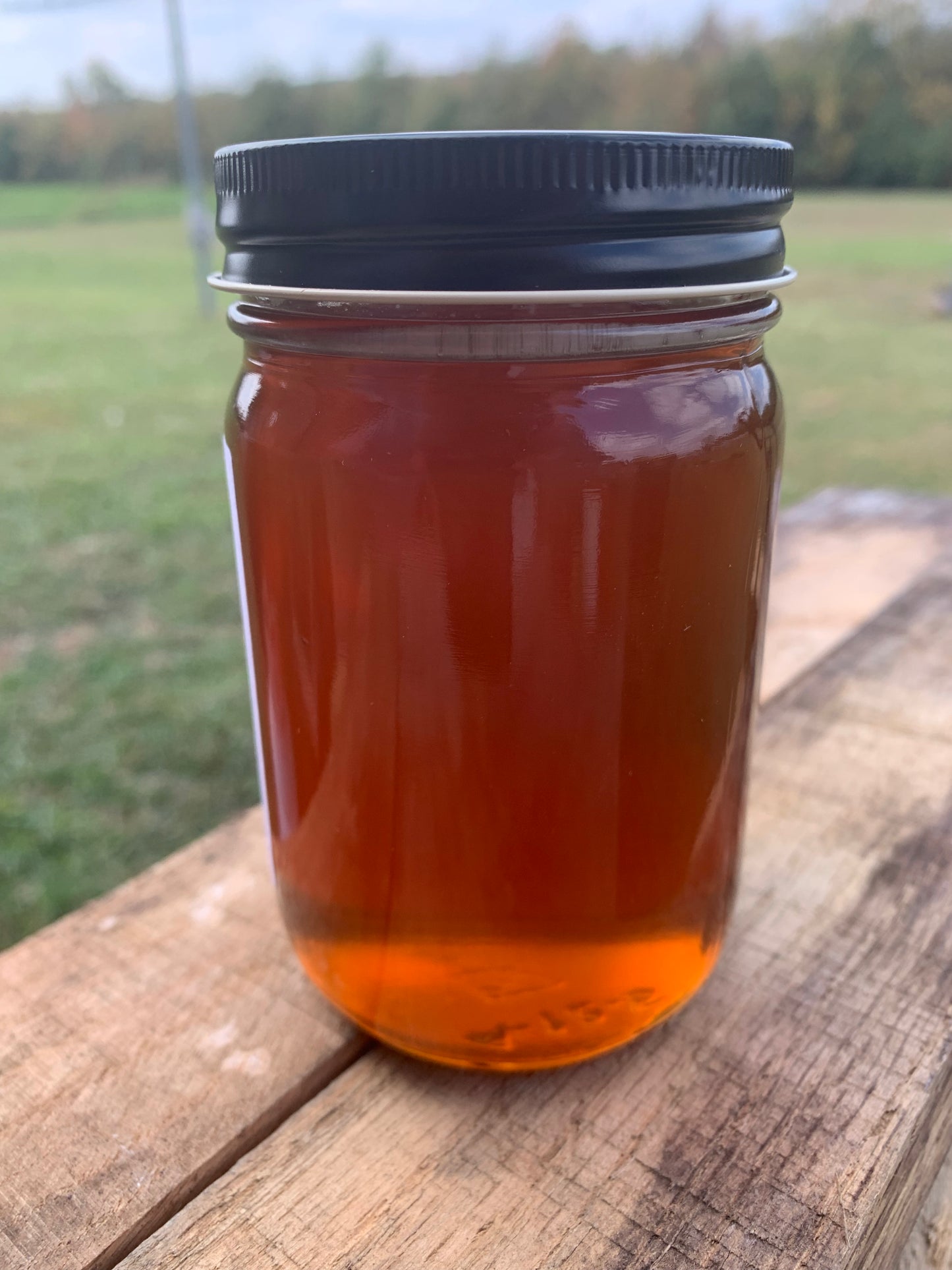 Mead Makers Honey (One Gallon)