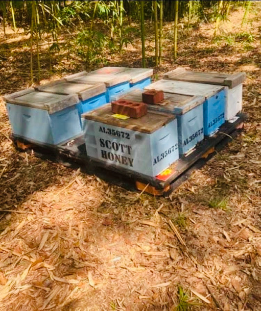 2025 Nuc pallet DEPOSIT