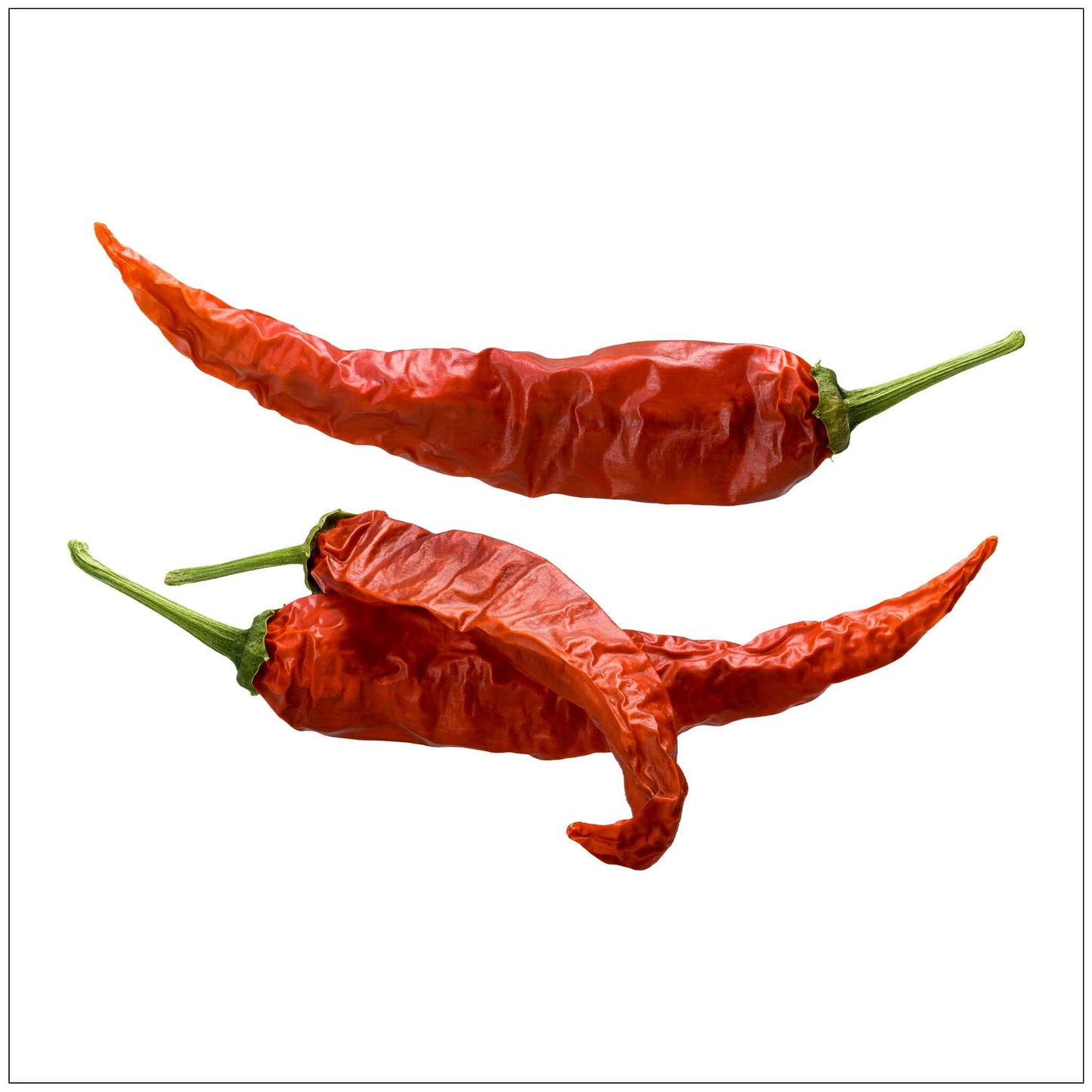 Guajillo Chili