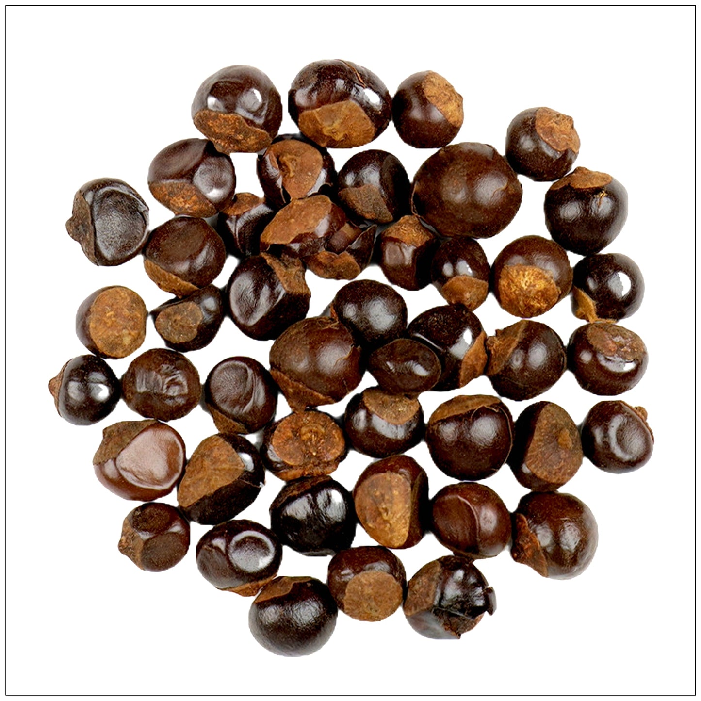 Guarana Seed