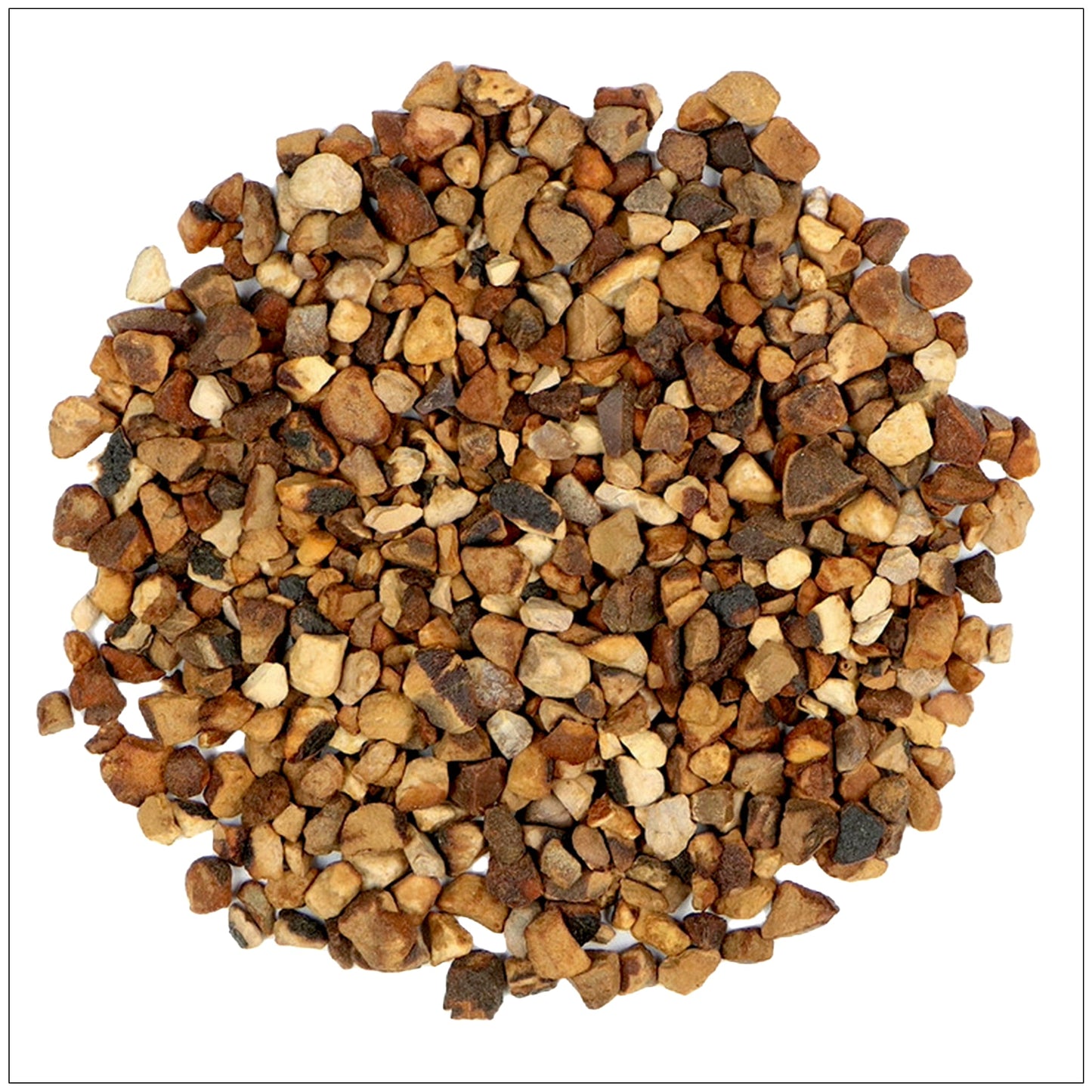 Kola Nut