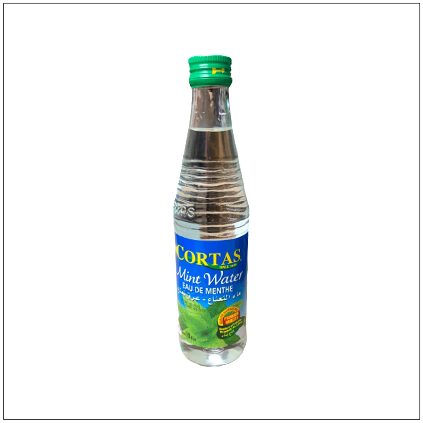 Mint Water - Cortas