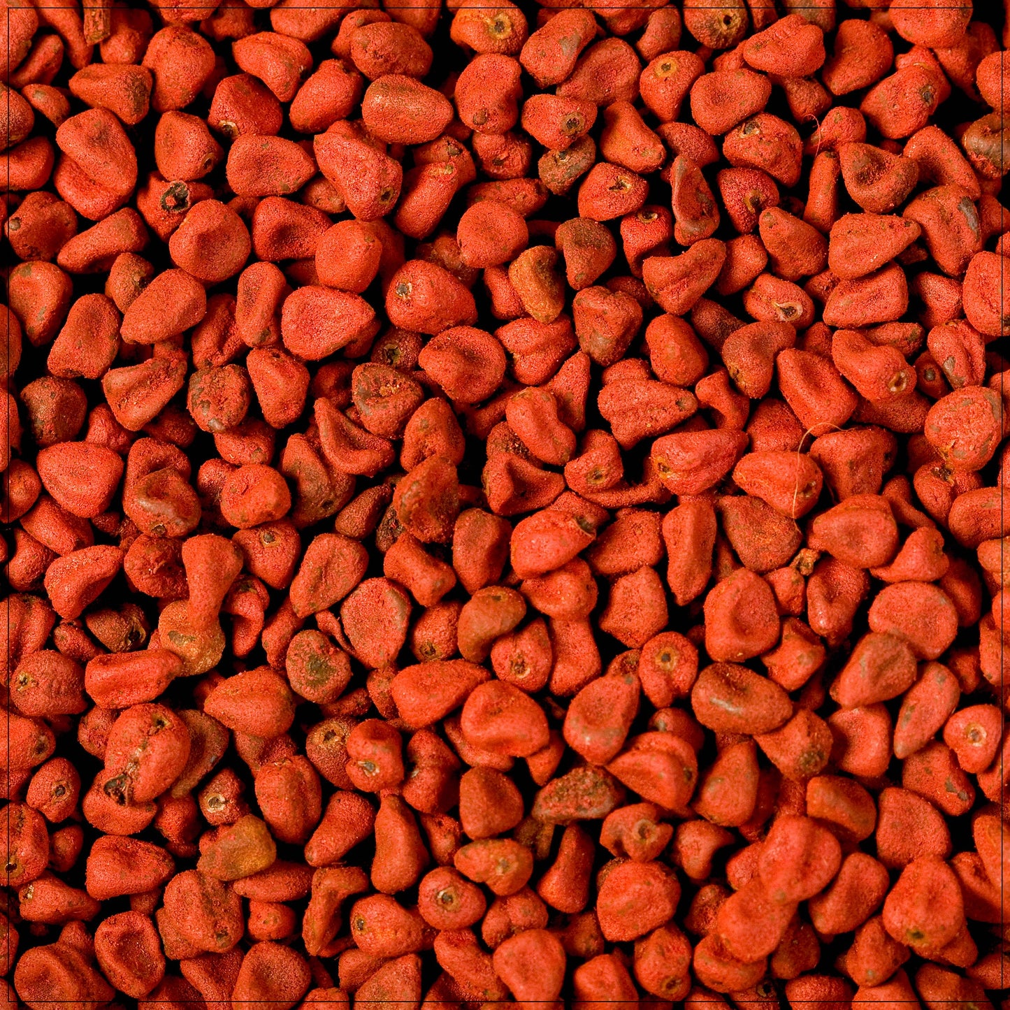 Annatto Seeds