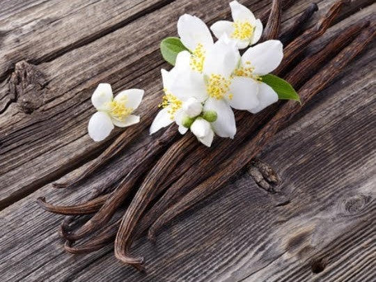 Discover the Best Vanilla Bean Honey on the Market