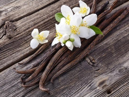 Discover the Best Vanilla Bean Honey on the Market