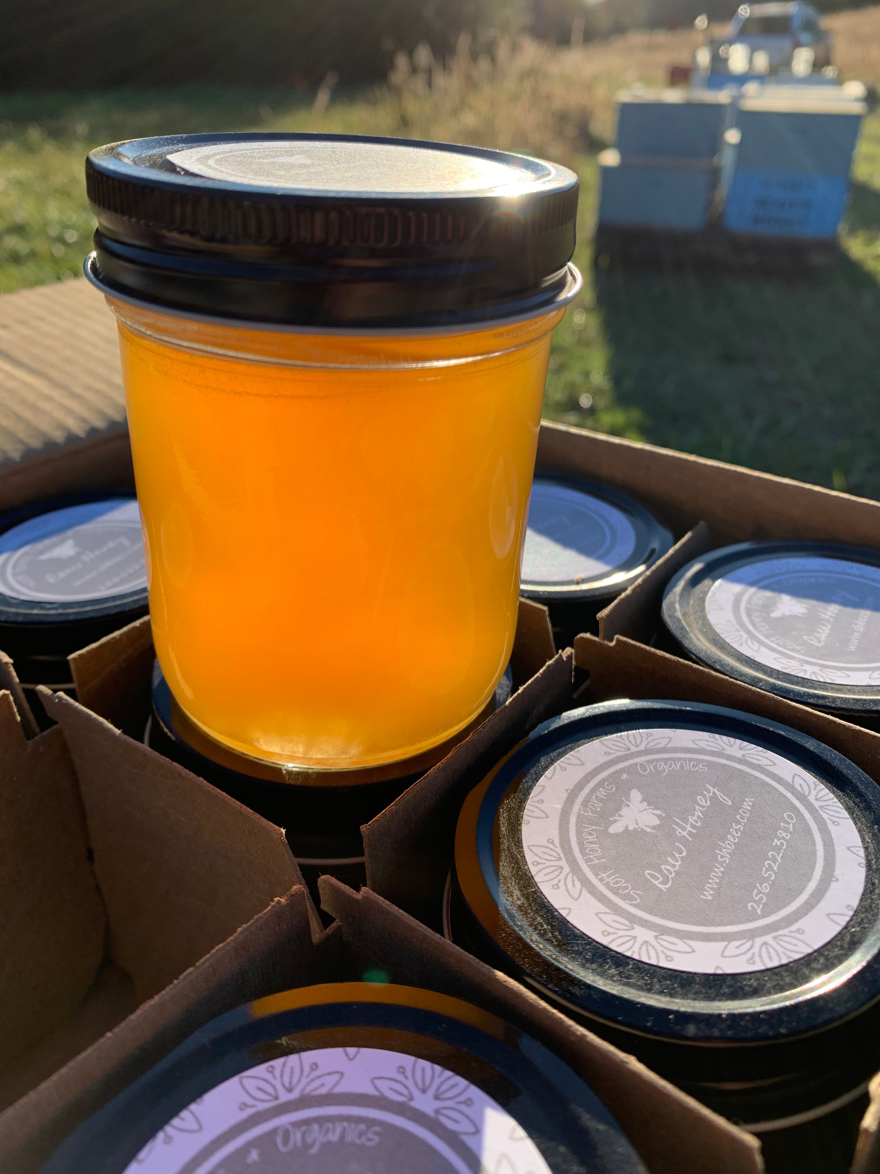 Raw Wildflower Honey 8 oz - Scott Honey Farms & Organics