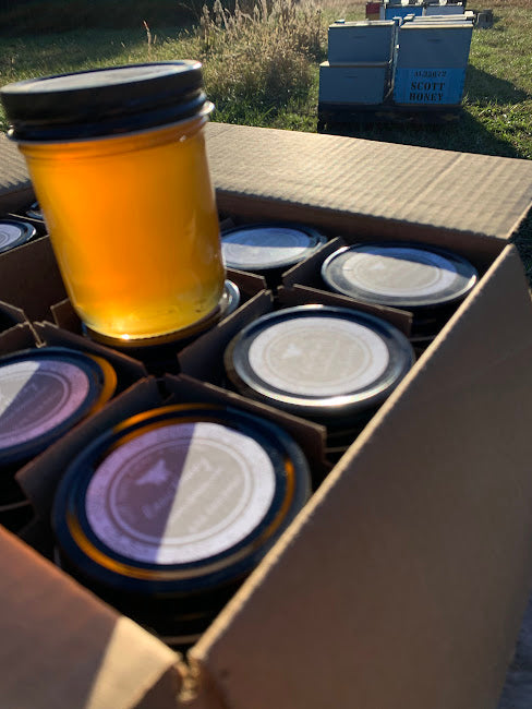 Raw Wildflower Honey case of 12, 16oz jars.