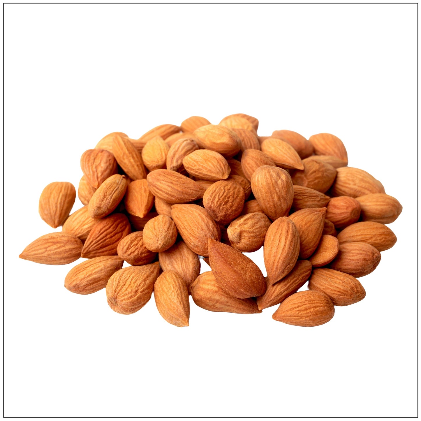 Apricot Kernels