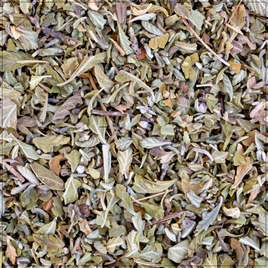 Damiana Leaf