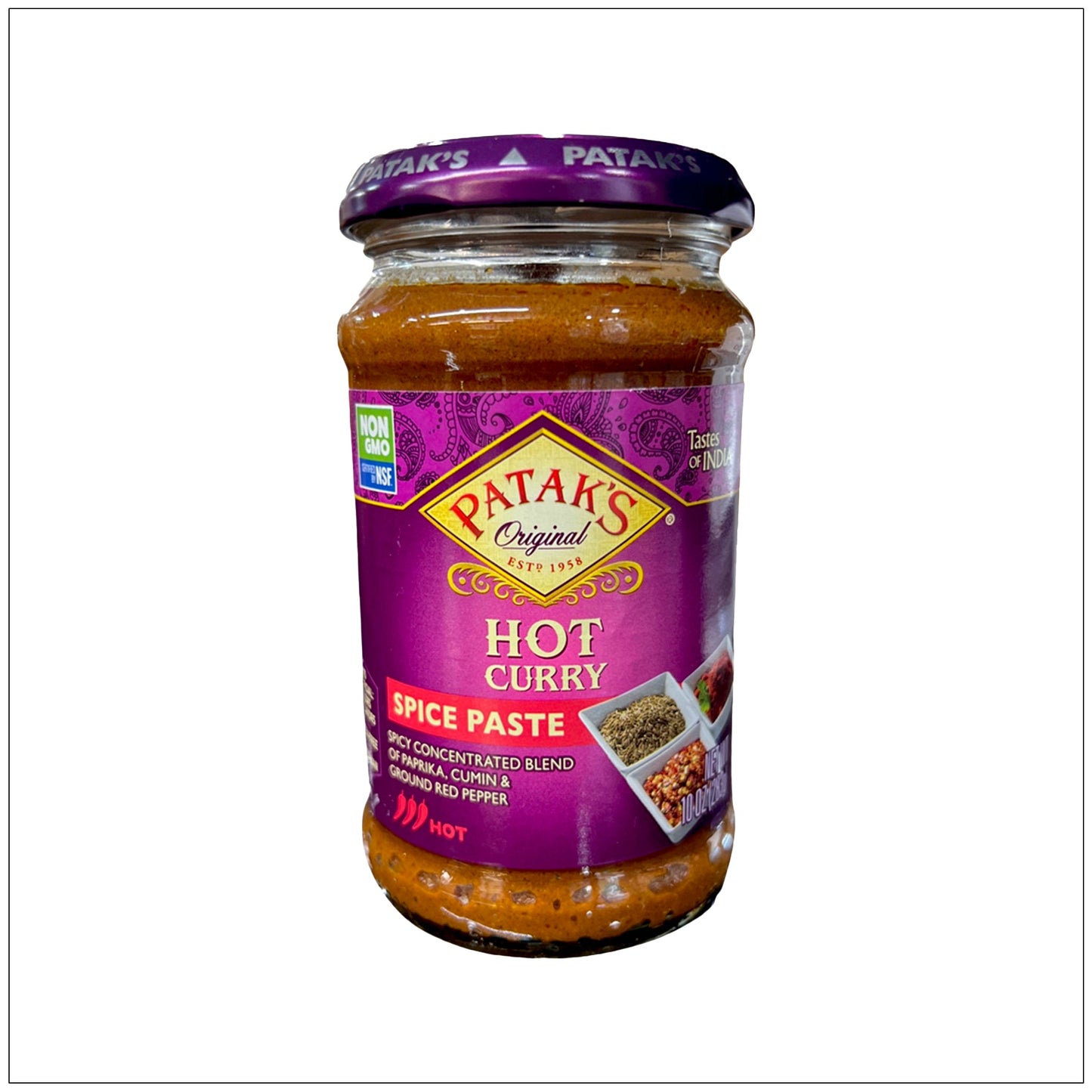 Hot Curry Spice Paste