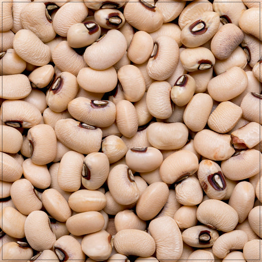 Navy Beans