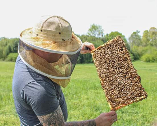 March 2026, 5 frame Italian Nucs *SOLD OUT*