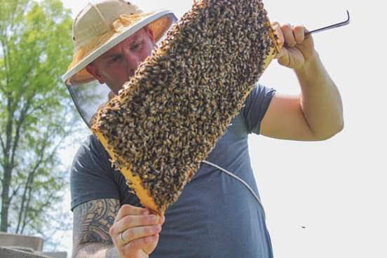 March 2026, 5 frame Italian Nucs *SOLD OUT*