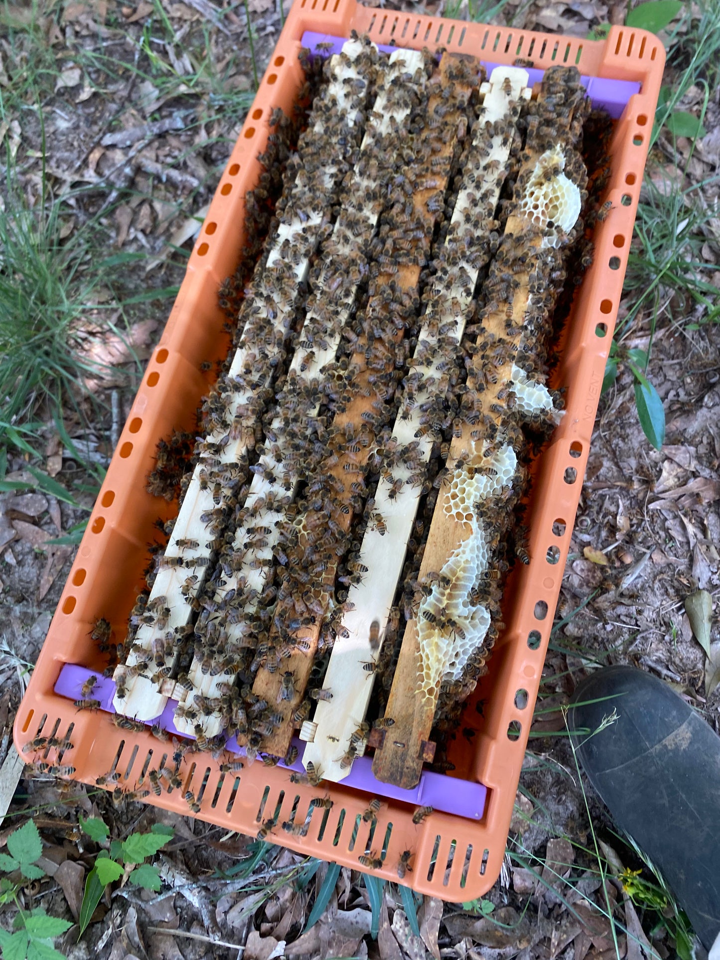 2026 Nuc pallet DEPOSIT